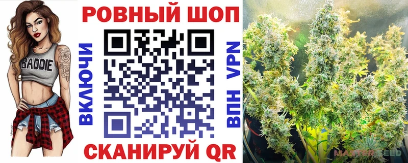 LSD-25 Александров