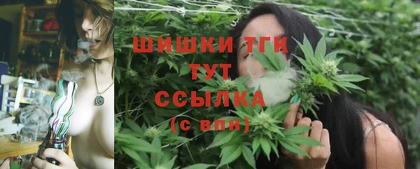 дживик Инта